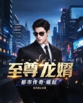 至尊龙婿：都市传奇崛起