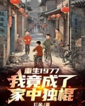 重生1977，我竟成了家中独棍