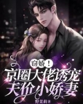 窃宠金枝