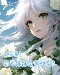 【综漫】赤司妹妹是审神者？