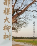 那棵大柳树