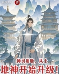 神灵遍地，从土地神开始升级！