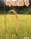 那根稻草