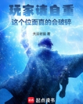 玩家请自重，这个位面真的会破碎
