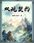 双魂契约