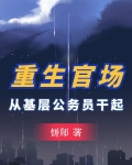 重生官场：从基层公务员干起