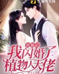 出狱后，我闪婚了植物人大佬