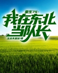 重生74：我在东北当队长