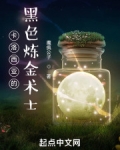 卡洛克王国的炼金术士
