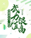 穿越成了乞丐，但是武力值很高