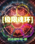 极限魂环