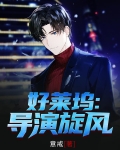 好莱坞：导演旋风