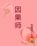 因果师