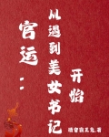 官运：从遇到美女书记开始