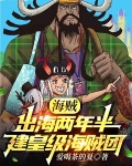 海贼：出海两年半，建皇级海贼团