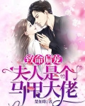 致命偏宠：夫人是个马甲大佬