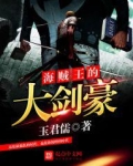 海贼王的大剑豪
